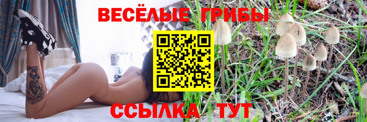 Галлюциногенные грибы ЛСД  Вход с VPN  Североморск 